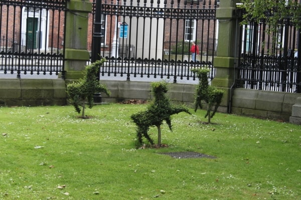 Natural History Museum Ireland